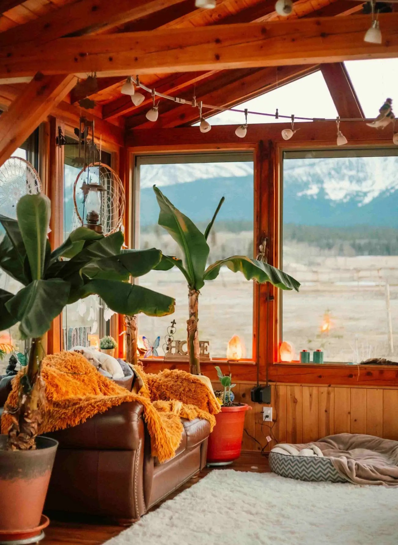 cozy cabin house