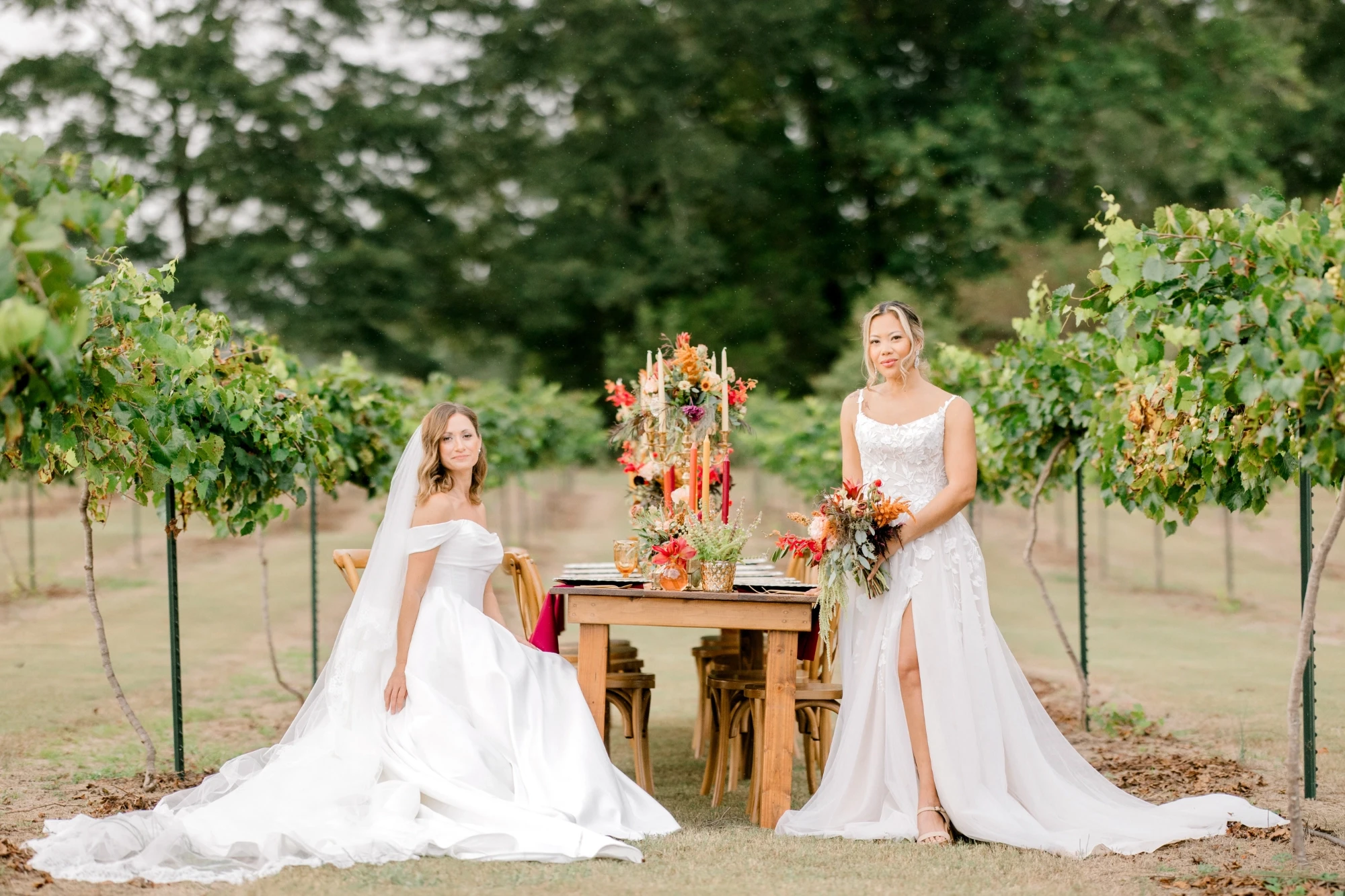models wearing wisdom and willow gowns