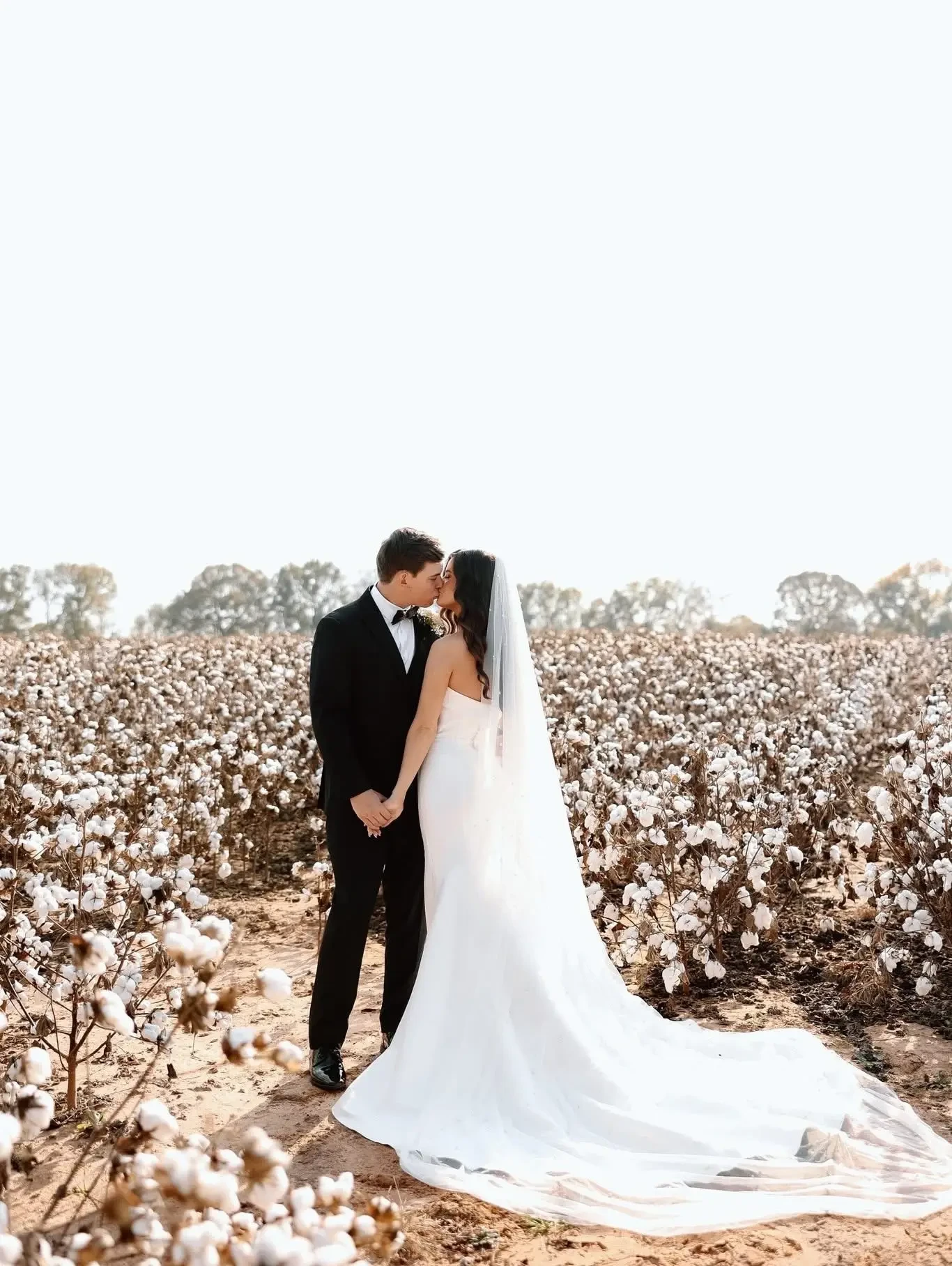 Julia-Anne and Bailey wedding photo by Kayla Greene Photography