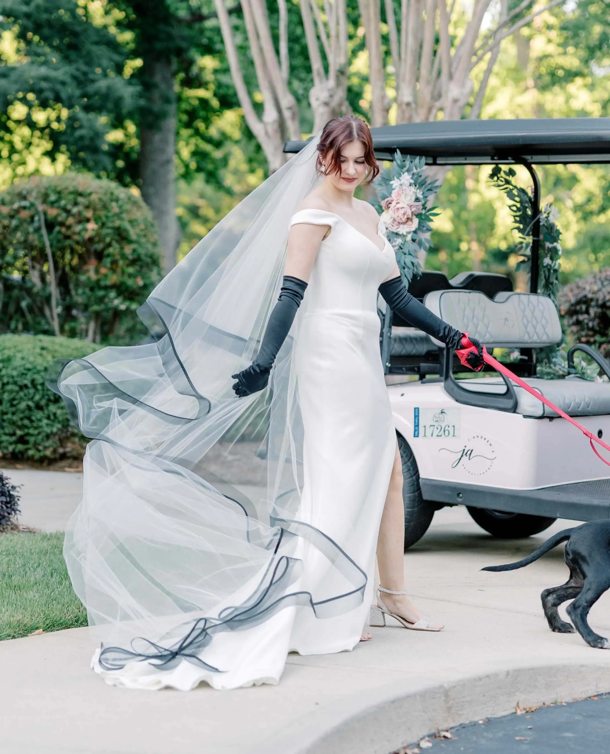 model wearing a wisdom and willow gown with veil