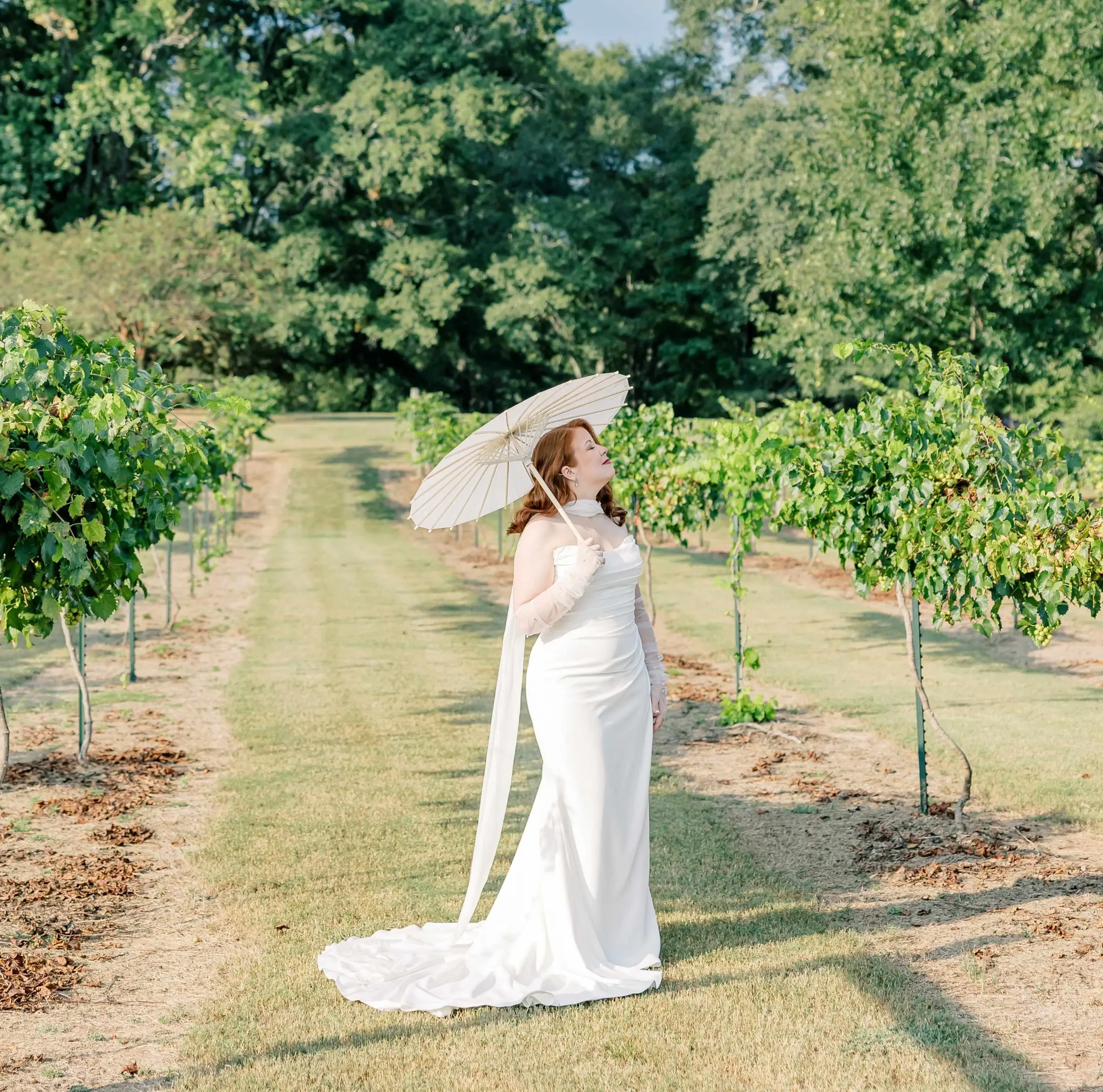 bride model in vineyard