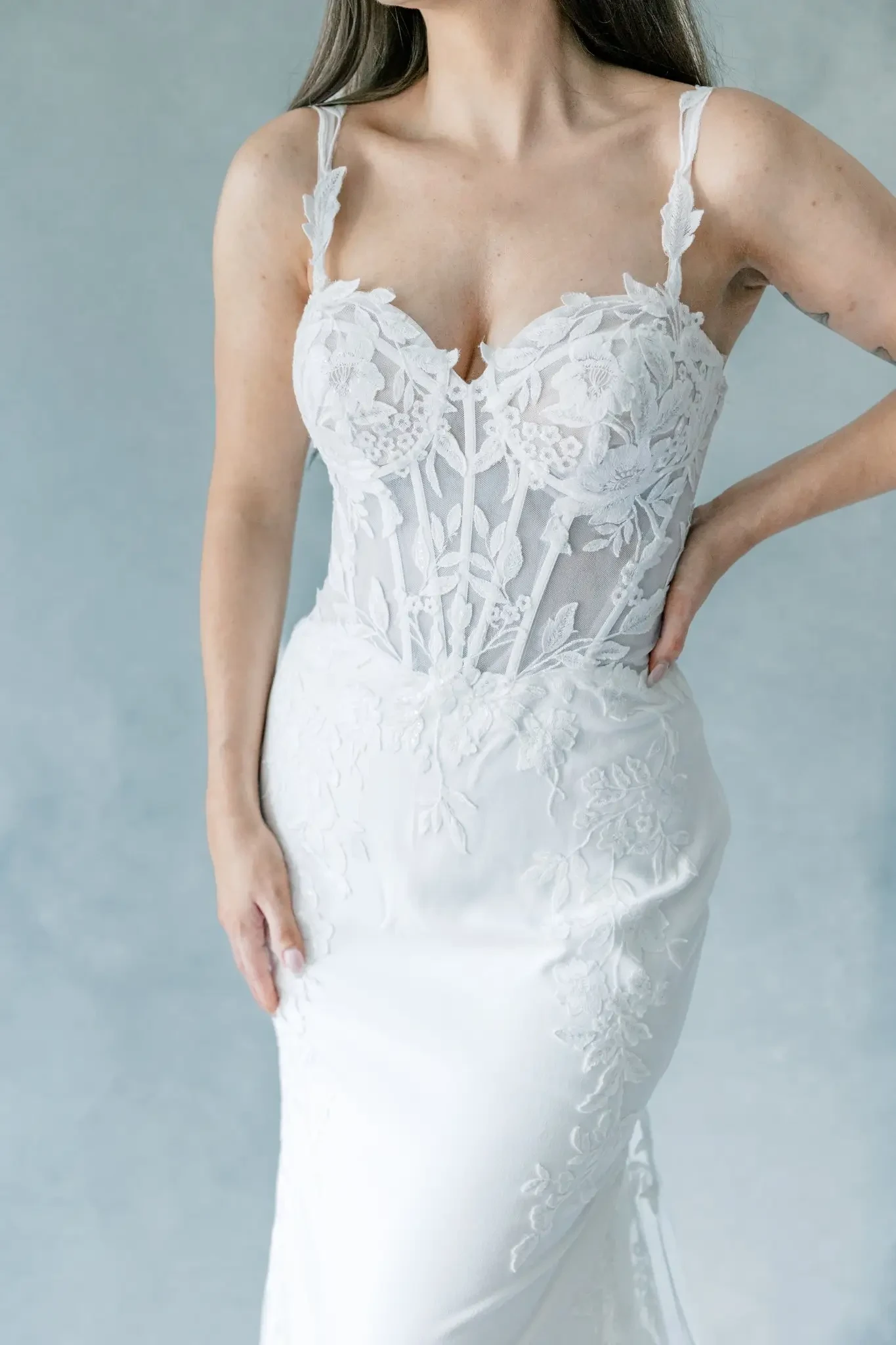 wisdom and willow model