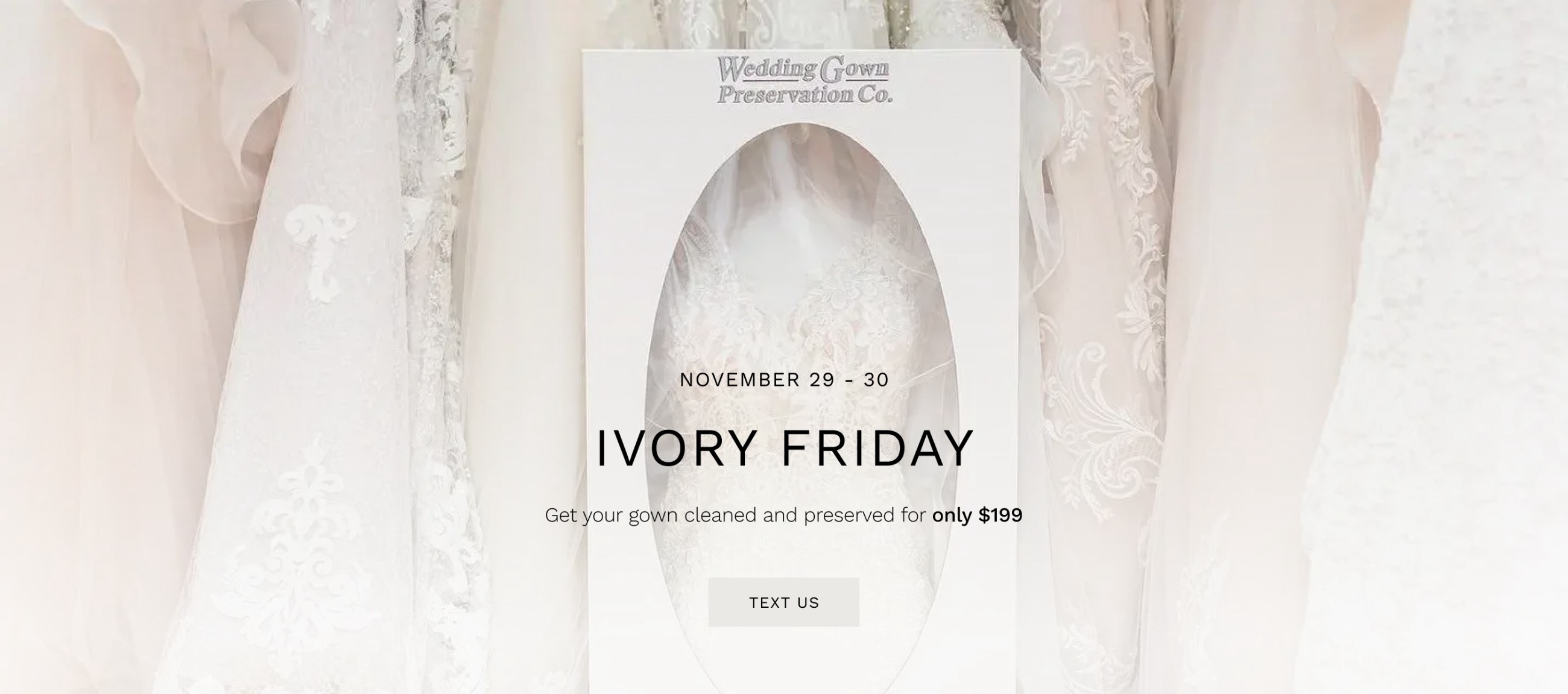 Ivory Friday Event November 2024