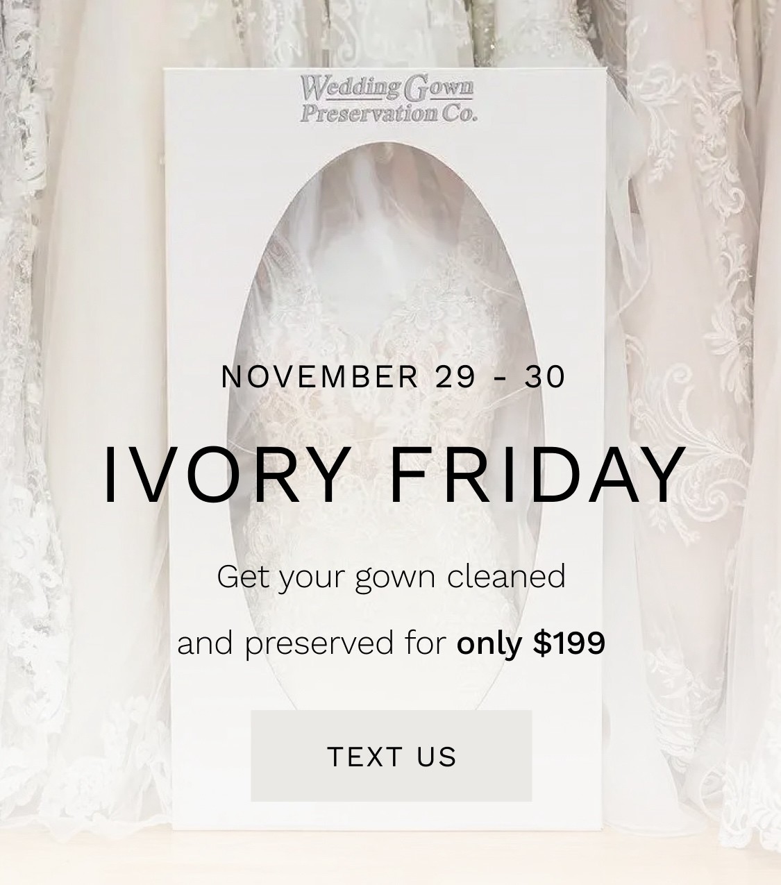 Ivory Friday Event November 2024