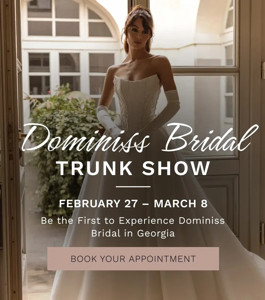 dominiss bridal trunk show banner 2026
