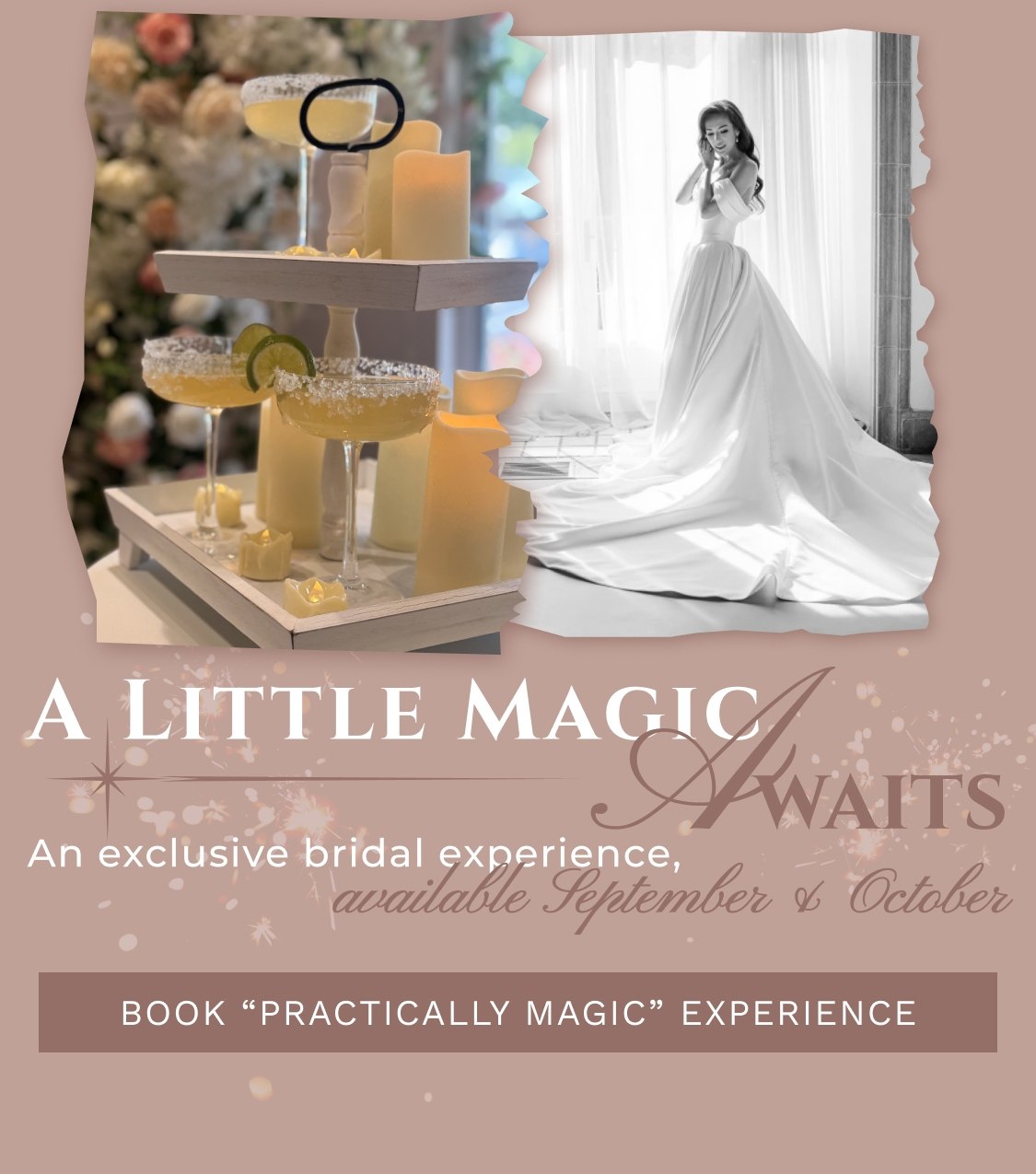 practically magic appointment type banner