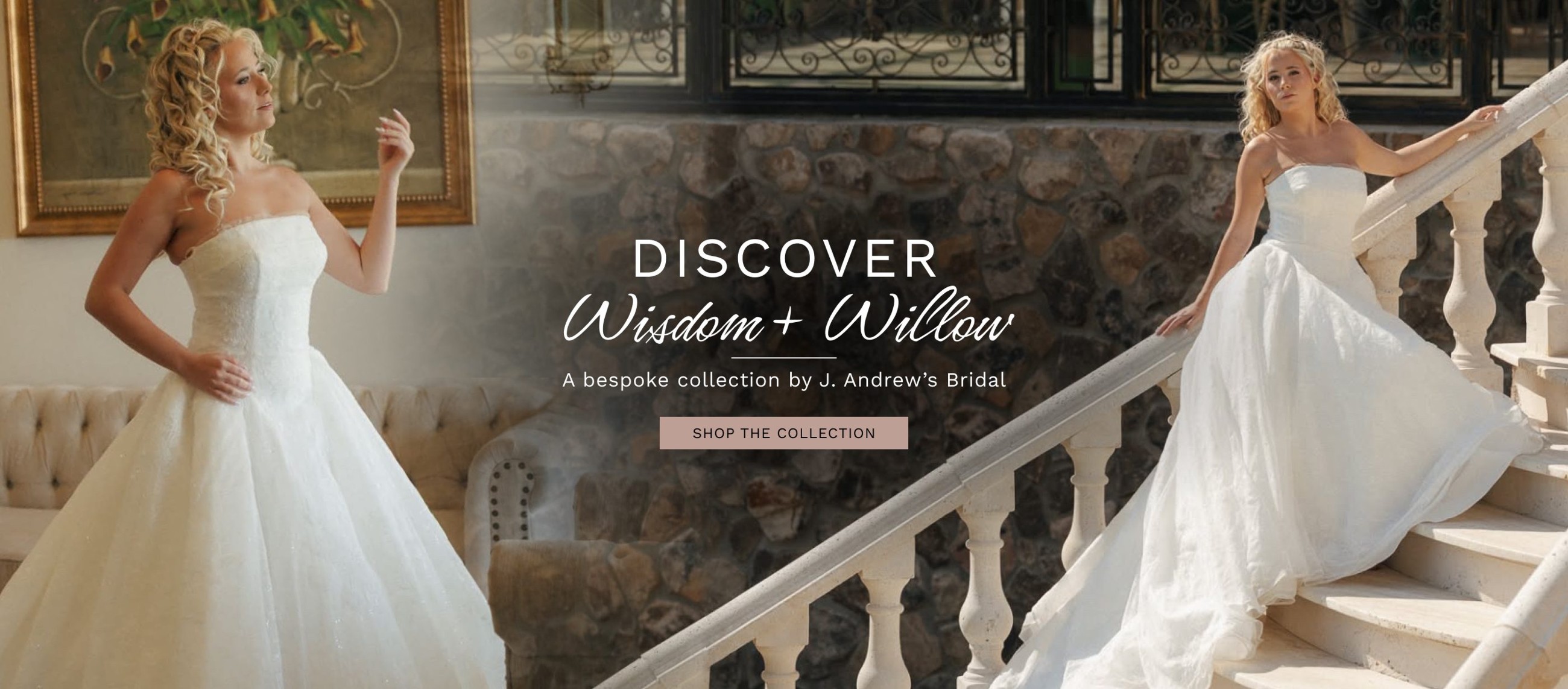 Wisdom + Willow Banner 2026