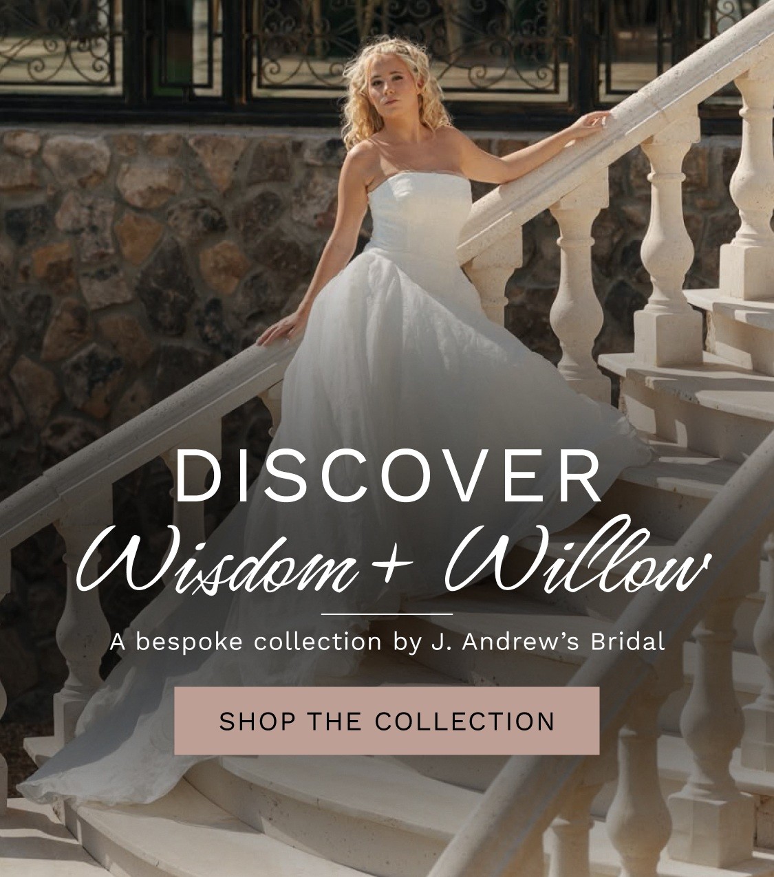Wisdom + Willow Banner 2026